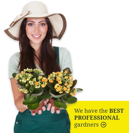 women-with-flower